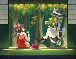 hakurei reimu from touhou