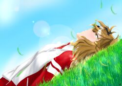 jungle pocket (umamusume) from umamusume