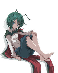 wriggle nightbug from touhou by suichuu hanabi