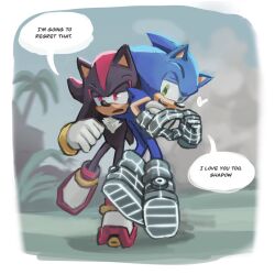 shadow the hedgehog from sonic (series)