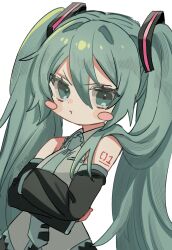 hatsune miku from vocaloid by sukoyaka (100hituzi)