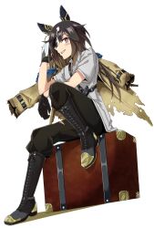 stay gold (sunlit outsider) (umamusume) from umamusume