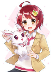 kougyoku rinko from jewelpet (series)