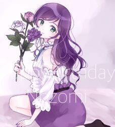 tojo nozomi from love live!