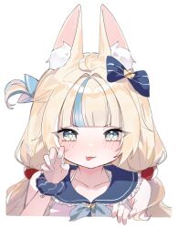 sameko saba from indie virtual youtuber