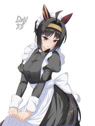umamusume fan art