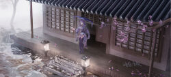 raiden shogun from genshin impact