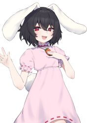 inaba tewi from touhou by valefal coneri