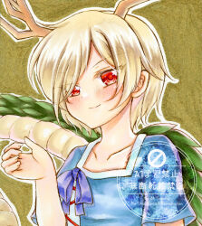 kicchou yachie from touhou by nekofish666