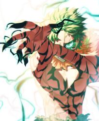 midoriya izuku from boku no hero academia