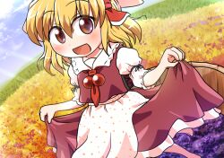 rumia from touhou by rokugou daisuke