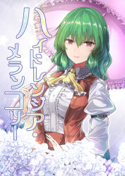 kazami yuuka from touhou by y2