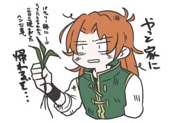 hong meiling from touhou