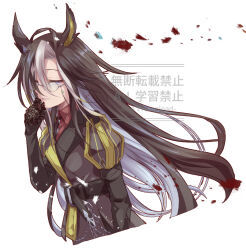dream journey (reminder of dreamland) (umamusume) from umamusume