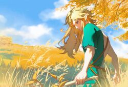 link from the legend of zelda