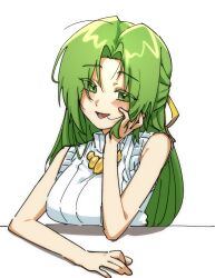 sonozaki shion from higurashi no naku koro ni