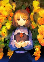 rumia from touhou