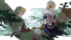 link from the legend of zelda