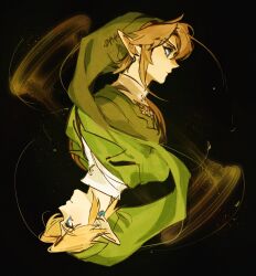 link from the legend of zelda by isa-415810