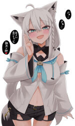 shirakami fubuki from hololive