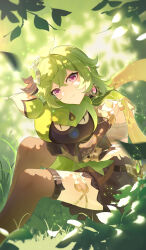 collei (genshin impact) from genshin impact