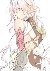 fu hua from honkai (series)