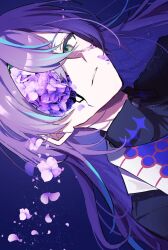 hoshirube sho from nijisanji