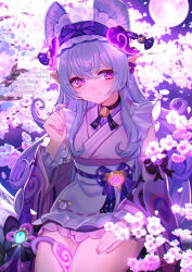 yumemizuki mizuki from genshin impact