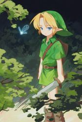 link from the legend of zelda