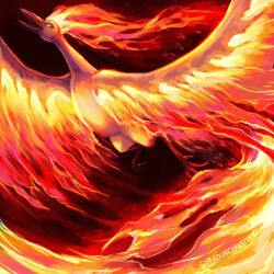 moltres from pokemon