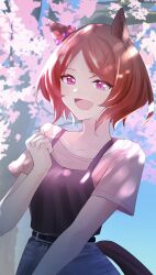 sakura laurel (umamusume) from umamusume by denryoku saboten