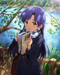 kisaragi chihaya from idolmaster