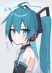 hatsune miku from vocaloid