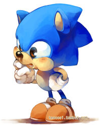 sonic the hedgehog from sonic (series)