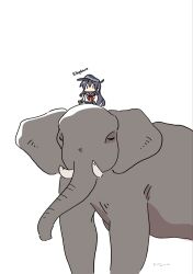 akatsuki (kancolle) from kantai collection