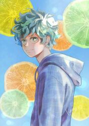 midoriya izuku from boku no hero academia