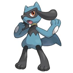 riolu from pokemon