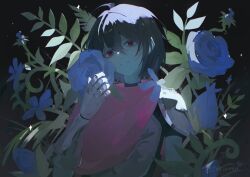 kris (dark world) (deltarune) from deltarune