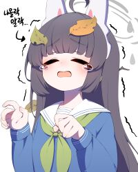 miyu (blue archive) from blue archive