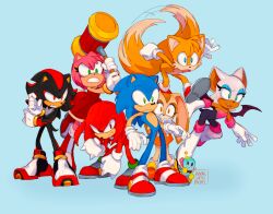 amy rose from sonic (series)