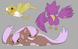 murkrow from pokemon