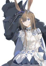 amiya (arknights) from arknights