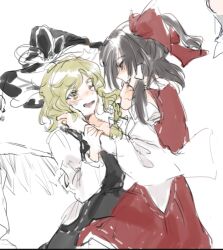 hakurei reimu from seihou