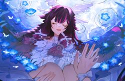 columbina (genshin impact) from genshin impact