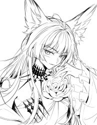 vulpisfoglia (arknights) from arknights