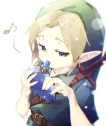 link from the legend of zelda by gorilla (bun0615)