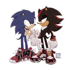 shadow the hedgehog from sonic (series)