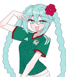 hatsune miku from adidas by magui3