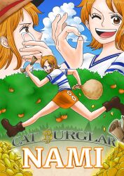nami (one piece) from one piece