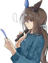 admire vega (umamusume) from umamusume